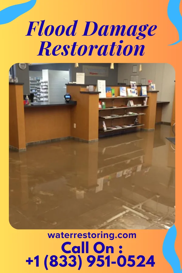 Flood Damage Restoration in Winnebago, IL